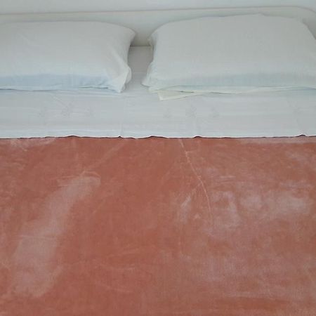 Apartment Amalija Primošten Εξωτερικό φωτογραφία